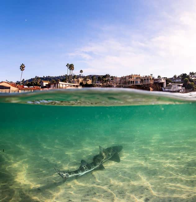 La Jolla: Full-Day Snorkel Gear Rental with Wetsuit Option - Wetsuit option: when warmth matters more than you think