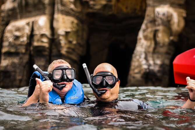 La Jolla Kayak and Snorkel Tour - Price and Value: Is $114 per Group Actually a Good Deal?