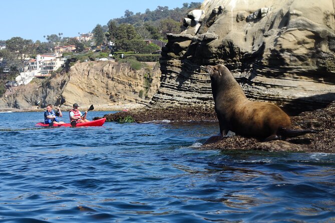 La Jolla Kayak Rental - Who this kayak rental fits best (and who may want another option)