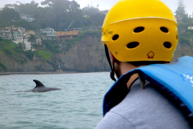 La Jolla Sea Caves Kayak Tour For Two (Tandem Kayak) - First paddle lessons at La Jolla Shores (and why they matter)
