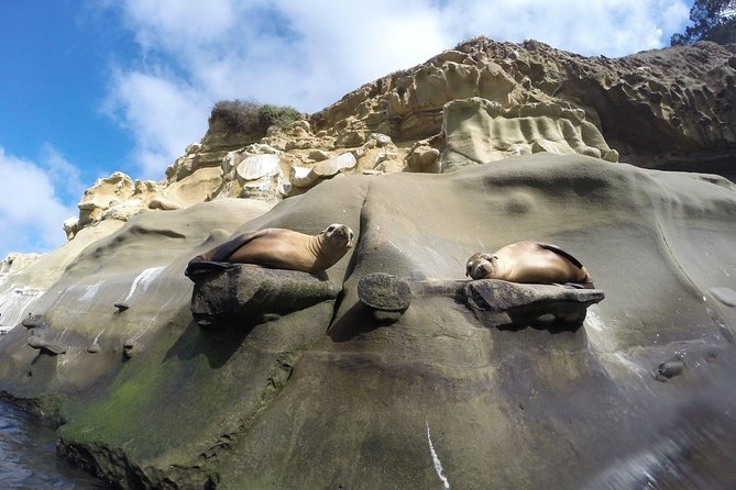 La Jolla Sea Caves Kayak Tour For Two (Tandem Kayak) - The tandem kayak setup: easier than you think
