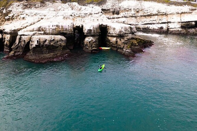La Jolla Sea Caves Kayak Tour (Single Kayak) - Stop 1: La Jolla Cove sets the tone fast