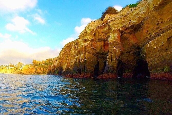 La Jolla Sea Caves Kayak Tour (Single Kayak) - Sea cave access: the big promise, the real-world limits