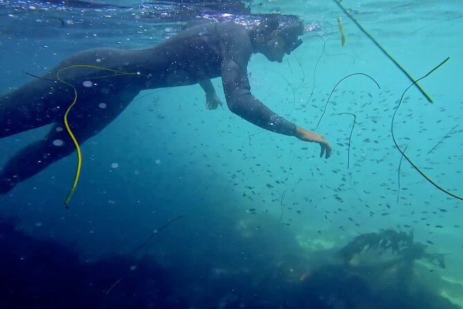 La Jolla Snorkel with the Leopard Sharks - The flow of the experience: from basics to the water