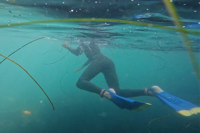 La Jolla Snorkel with the Leopard Sharks - What’s included (and why it matters for comfort)