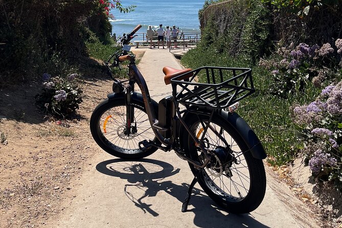La Jolla's Best Coastal Electric Bike Tour - Children’s Pool: a 15-minute harbor seal watching plan