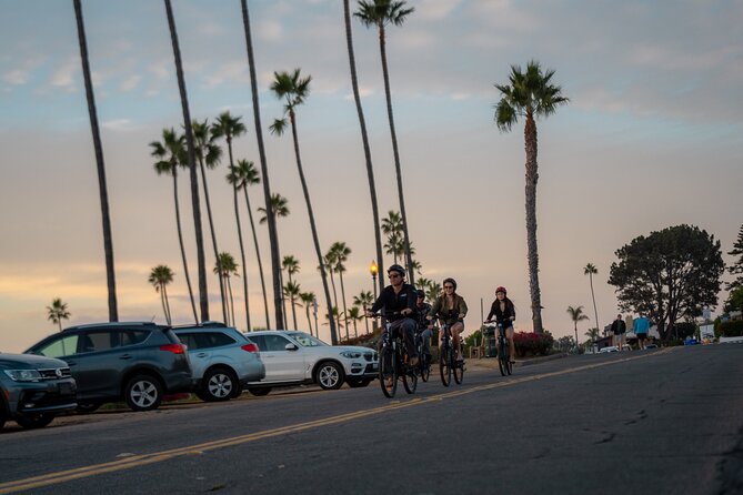 Luxurious Guided Electric Bike Tour to Torrey Pines - Key Highlights You’ll Feel Right Away