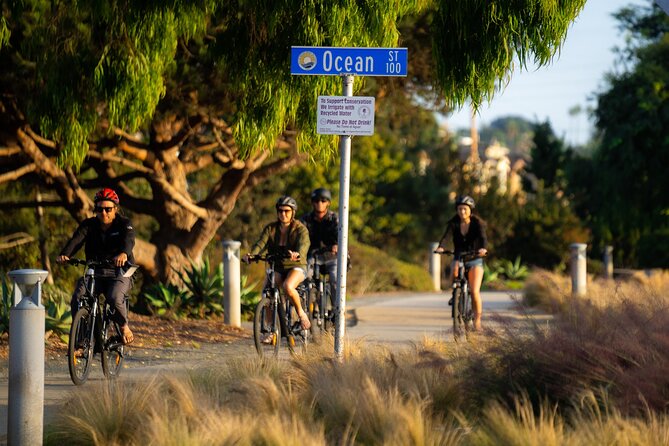 Luxurious Guided Electric Bike Tour to Torrey Pines - The Del Mar Race Track Side of 101: A Detail-Heavy Stop