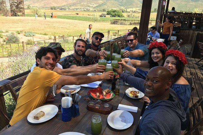 Luxury Private Wine Tasting Tour to Guadalupe Valley from San Diego - Key points before you go