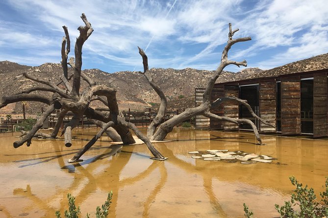 Luxury Private Wine Tasting Tour to Guadalupe Valley from San Diego - El Mirador: a short pause with big views (and a restroom break)