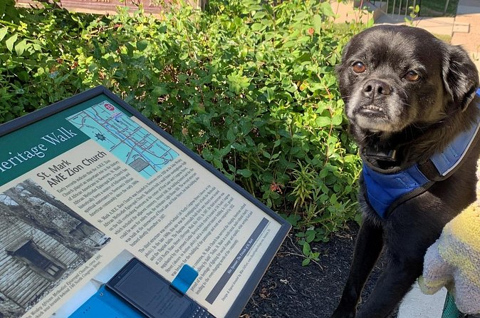 Mysteries on the Move: Scavenger Hunt in San Diego - Tech and Mobile Ticket Setup: Smartphone Required