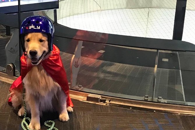Oceanside Indoor Skydiving Experience with 2 Flights & Personalized Certificate - Getting Suited Up: The Small Clothing Details That Matter