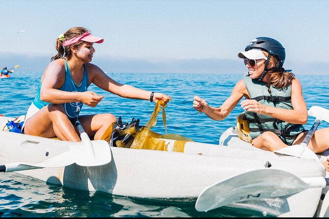 Original La Jolla Sea Cave Kayak Tour for Two - Price and Logistics: $109 for Two, Plus the Extra Fee