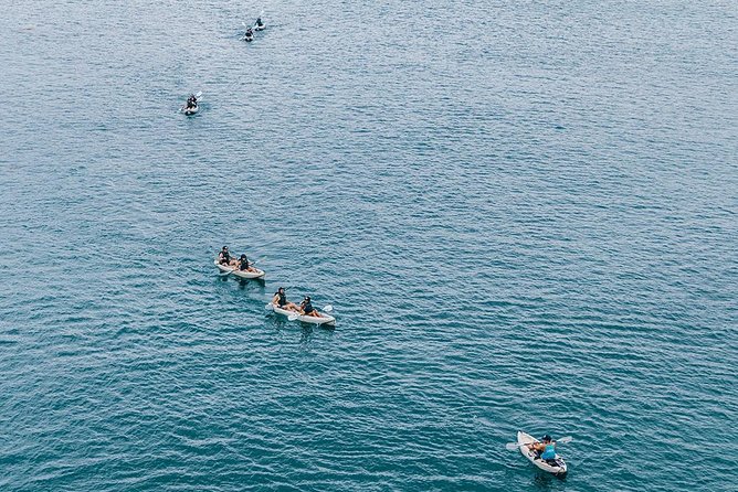 Original La Jolla Sea Cave Kayak Tour for Two - Stop 1: Sea Caves and the Emerald Cave Moment