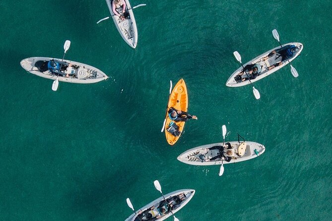 Original La Jolla Sea Cave Kayak Tour for Two - Meeting Point at 2261 Avenida De La Playa: The Pace Before You Paddle