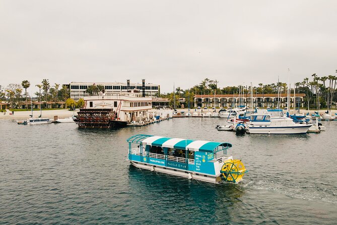 Paddle Pub San Diego Party Cruise: Drinks & Dancing for up to 26 - Key highlights to look for