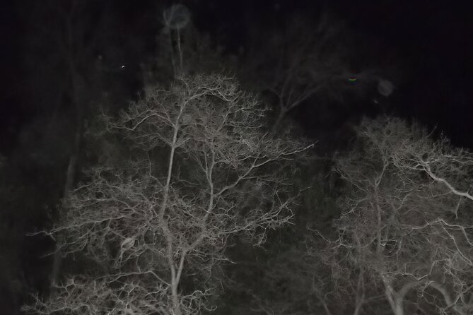 Paranormal Investigation History & Ghost Tour Old Town San Diego - Who Should Book This Tour—and Who Might Skip It