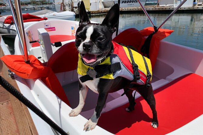 Pedal Boat rental in hidden part of San Diego Bay! Family fun - Staff and Safety Tone: Why People Feel Comfortable