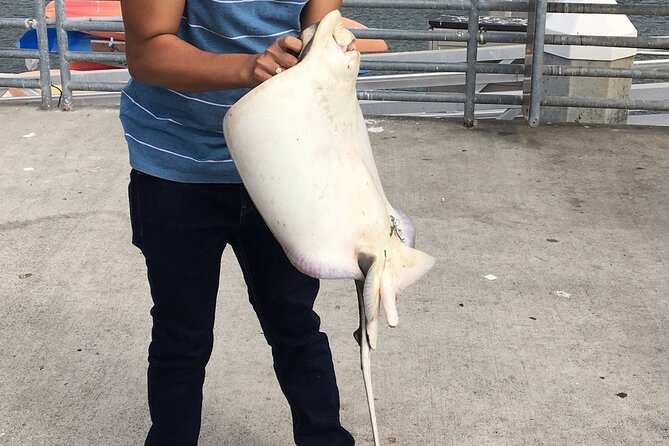 Pier Fishing Tour - San Diego - Shelter Island Makes the Whole Thing Feel Low-Stress