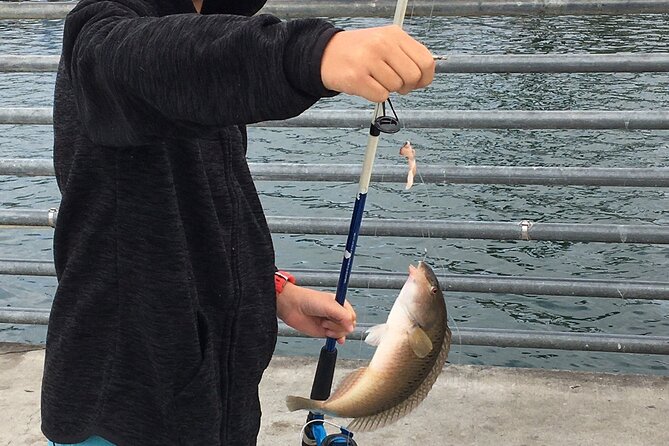 Pier Fishing Tour - San Diego - Gear and Bait: Why Included Equipment Is a Real Value