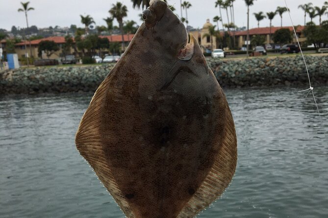 Pier Fishing Tour - San Diego - Small Group Size (Max 10) and the Question-Friendly Format