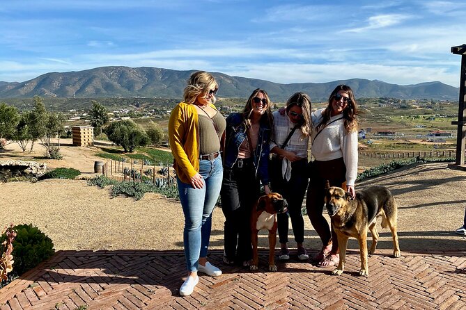 Premium Valle de Guadalupe Wine and Food Tour - Rosarito Taco Stop: Fuel Before the Valle Wine Scene