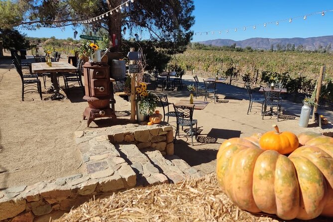 Premium Valle de Guadalupe Wine and Food Tour - Adobe Guadalupe Tapas Lunch: Shared Plates With Veg-Friendly Choices