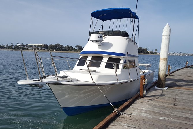 Private Half-Day San Diego Fishing Trip for up to 6 People - What Happens on the Water: From Kelp Forests to Fish Cleaning