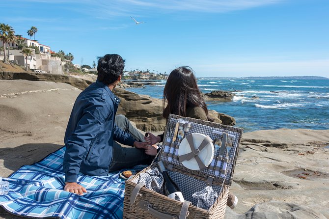 Private La Jolla Tour by Sidecar - Torrey Pines Gliderport: paragliders, cliff air, and Black’s Beach