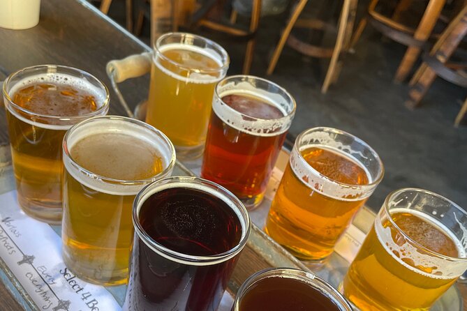 Private San Diego Beer Tasting Tour - Key things I’d bet on before you book