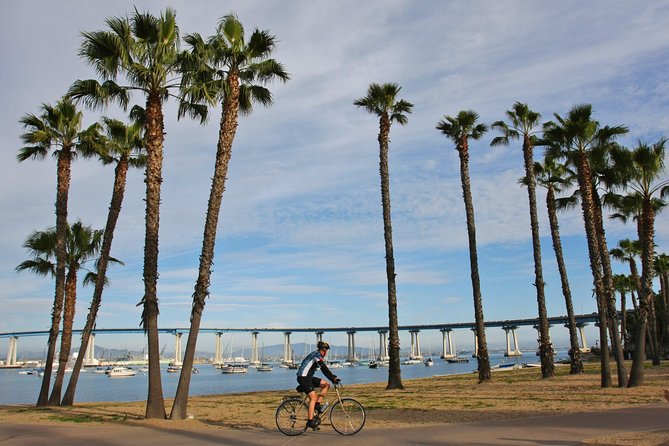 Private Shuttled Coastal Gems Scenic Customizable Tour - Stop 1: La Jolla—Mediterranean streets and affluent-coast atmosphere