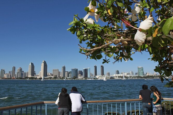 Private Shuttled Coastal Gems Scenic Customizable Tour - Stop 5: Mission Beach Boardwalk—oceanfront fun and that wooden roller coaster