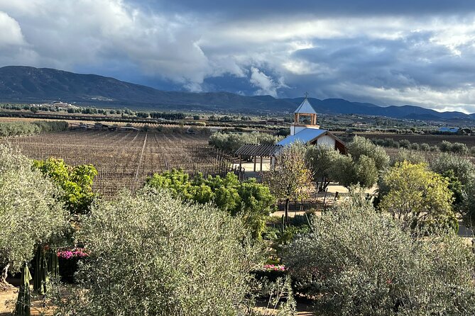 Private Tour Premium Wineries in the Valle de Guadalupe - Stop 3: Villa Monte Fiori (Montefiori) and the Bounous Family Touch