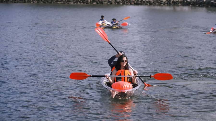 San Diego: 2024 Crystal Clear Kayak Rental - Crystal Clear Kayaking Over San Diego Bay: What You’re Actually Doing