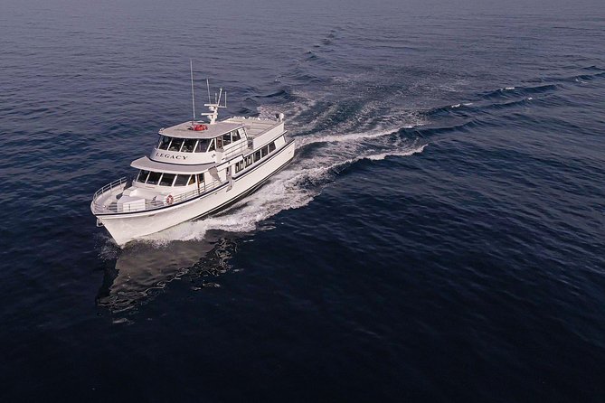 San Diego: 3 Hour Whale Watching Cruise - Mission Bay to La Jolla Canyon: what 3 hours looks like in practice