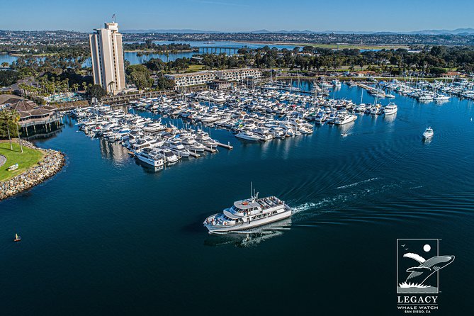 San Diego: 3 Hour Whale Watching Cruise - Which whales you’re most likely to see (by season and month)