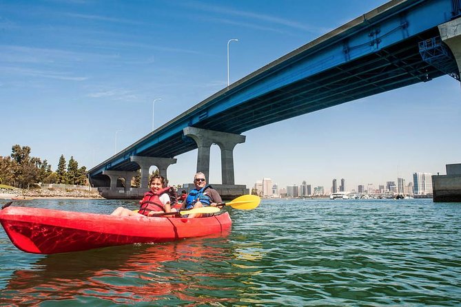 San Diego Bay 1.5-Hour Guided Kayak Tour in Coronado - What You’ll See From the Water: Skyline, Maritime, and Bay Landmarks