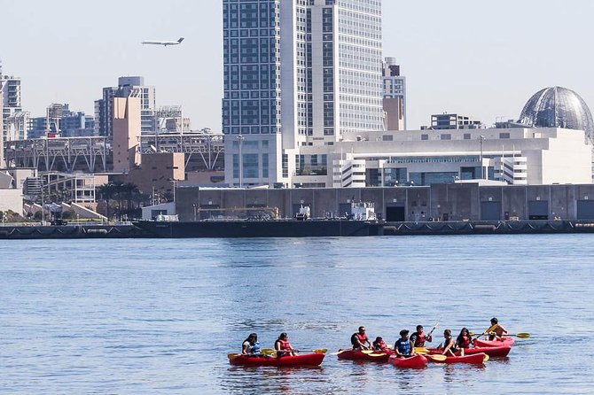 San Diego Bay 1.5-Hour Guided Kayak Tour in Coronado - Price and Value: $79 per Group (Up to 2) with Gear Included