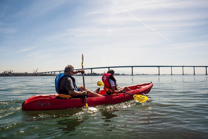 San Diego Bay 1.5-Hour Guided Kayak Tour in Coronado - Wet From the Waist Down: What to Wear and Expect