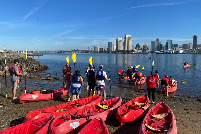 San Diego Bay 1.5-Hour Guided Kayak Tour in Coronado - Stop 1: Coronado Bridge From Paddle Level