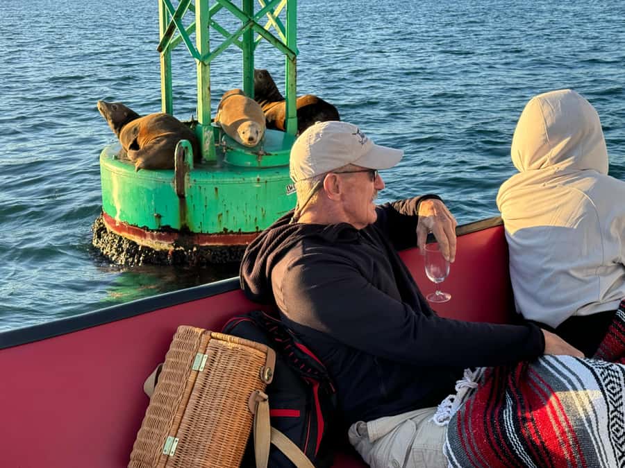 San Diego Bay: 2.5 hour Pure Catamaran Sailing Cruise - Who this cruise is perfect for (and who should skip it)