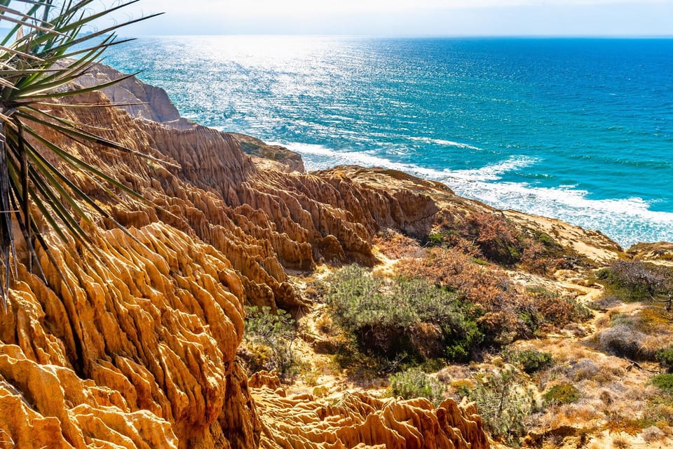 San Diego: Beaches & Bluffs Self-Guided Driving Tour - La Jolla Village: Streets to Walk, Views to Pause For