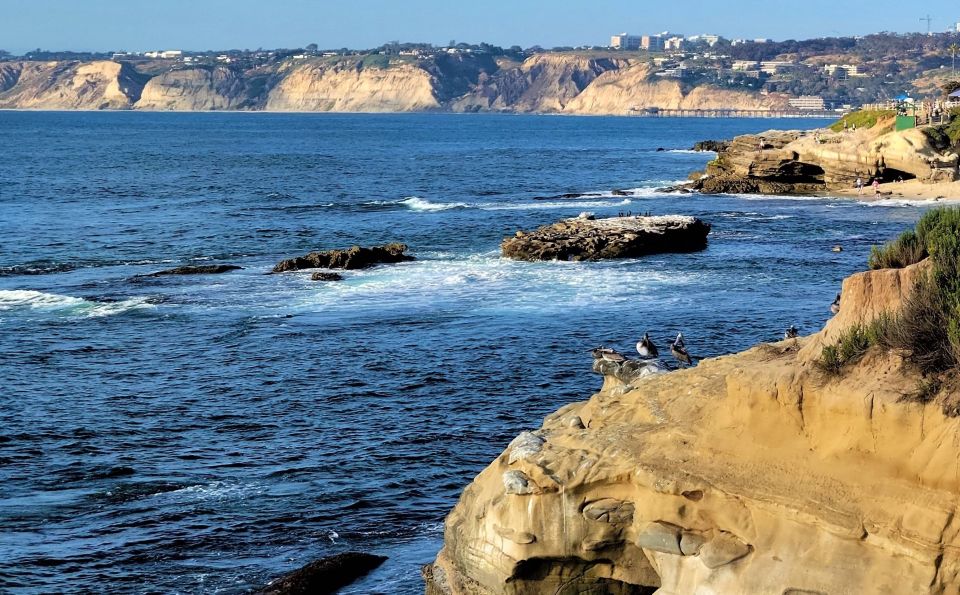 San Diego: City and Beaches Guided Highlights Tour - La Jolla Cove and the Sea Lions: Short Time, Big Payoff