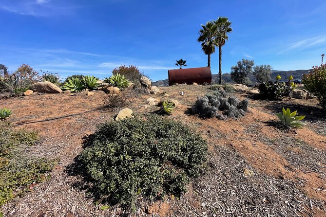 San Diego County Wine Tour (Private) - Mia Marie Vineyards in Escondido: mountain views without the rush