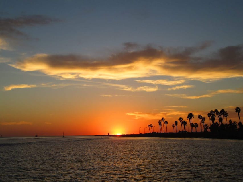 San Diego: Dolphin and Whale-Watching Sunset Cruise - Key Points You’ll Care About