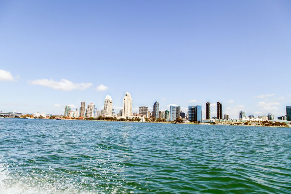 San Diego: Drive Your Own Speed Boat 2-Hour Tour - Key things I’d bank on before you go