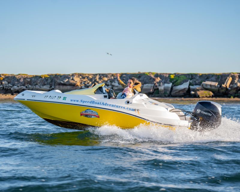 San Diego: Drive Your Own Speed Boat 2-Hour Tour - Coronado Bridge and Coronado Ferry Landing: the “shore-to-shore” perspective