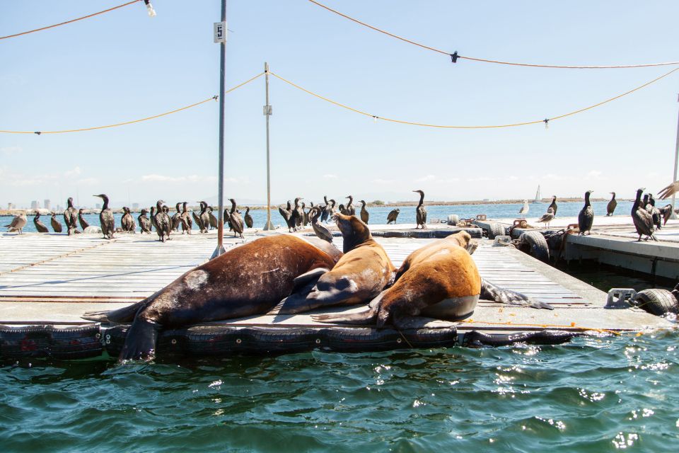 San Diego: Drive Your Own Speed Boat 2-Hour Tour - Star of India: a classic ship silhouette with harbor texture