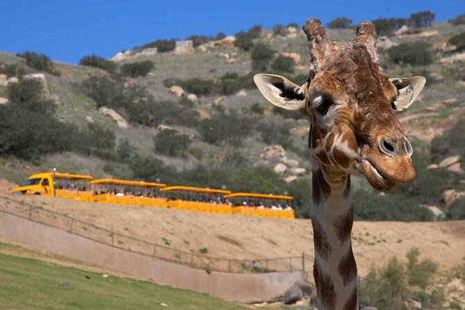 San Diego Explorer Pass: Save up to 50% - Includes San Diego Zoo - Fossils, flying, and big-screen science: Air & Space and Natural History