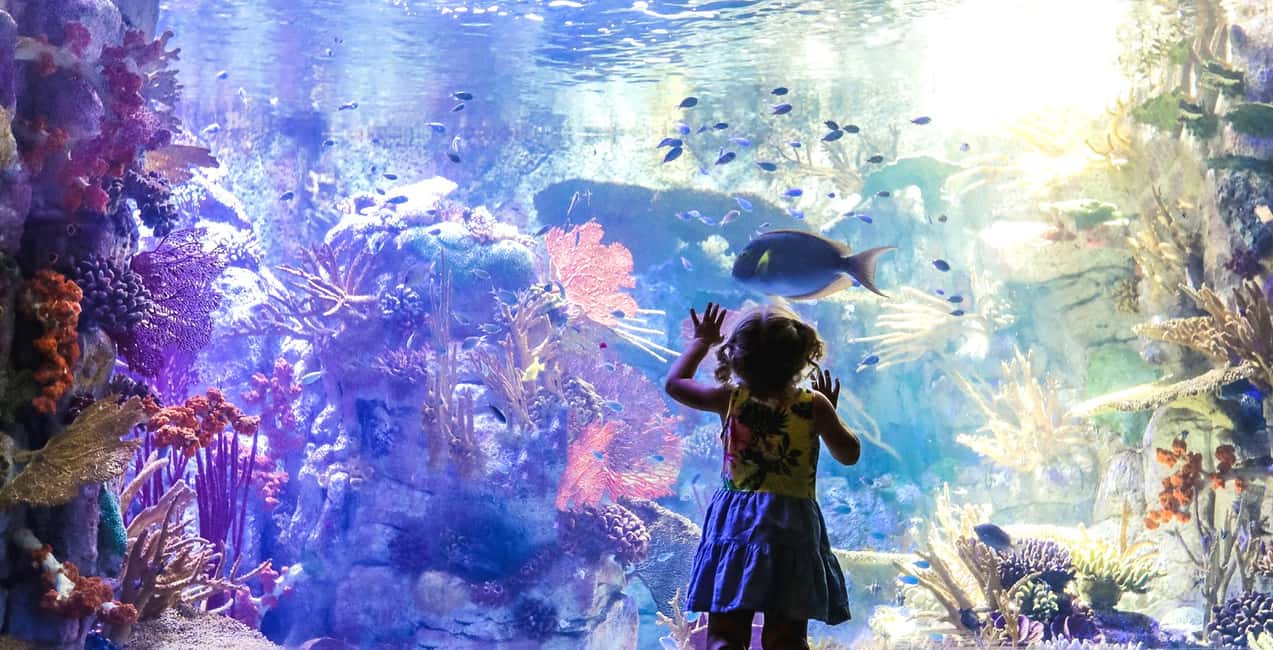 San Diego Explorer Pass: Save up to 50% on 45+ Attractions - Should you book the San Diego Explorer Pass?